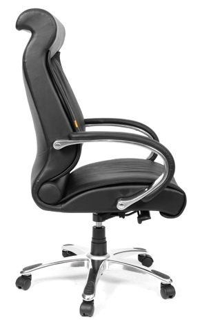 Компьютерное кресло Chairman 420 